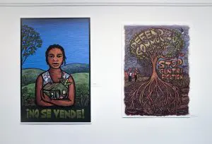 2 prints of artwork by Ricardo Levins Morales on a white gallery wall.