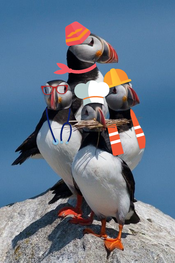 Four puffins with clip art clothes on representing a dr, flight attendant, chef, and construction worker