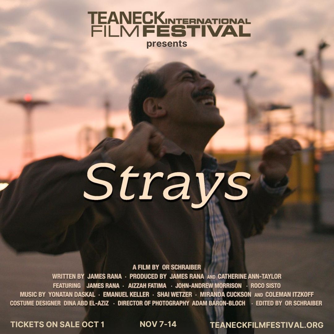 Strays - The Puffin Cultural Forum