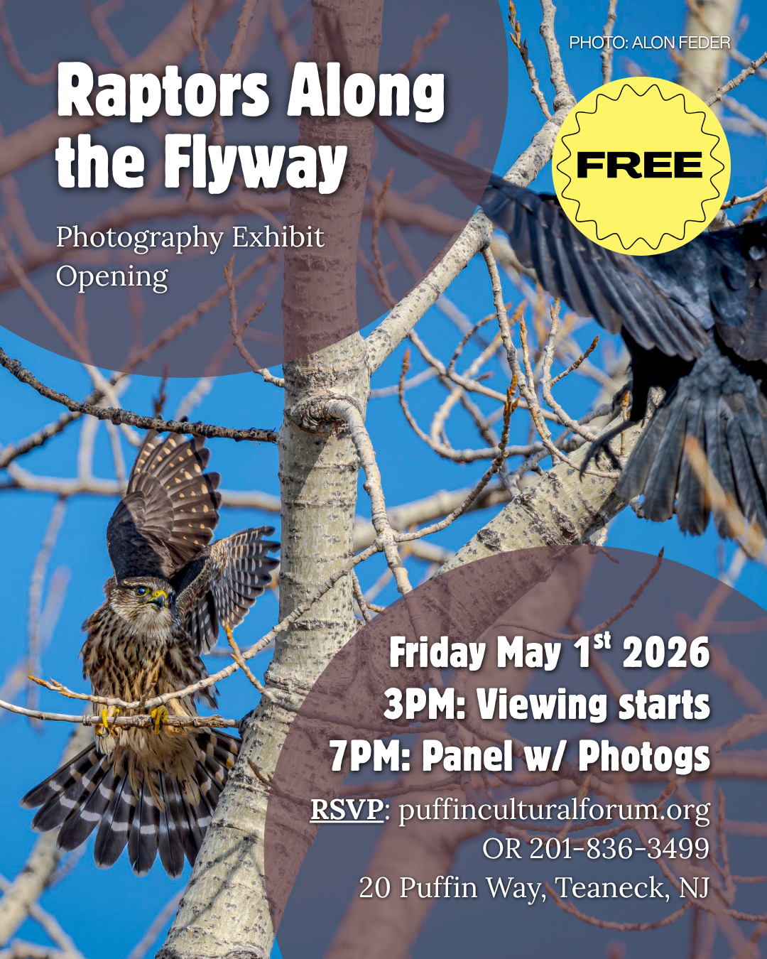 Poster for 'Raptors Along the Flyway' photography exhibit; May 1, 2026, 3 PM viewing, 7 PM panel; RSVP at puffinculturalforum.org.